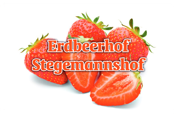 Erdbeerhof Stegemannshof - Landwirt Christian Bernhard