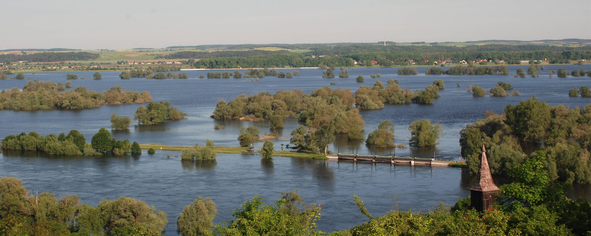 Natur pur - Blick auf den Nationalpark Unteres Odertal