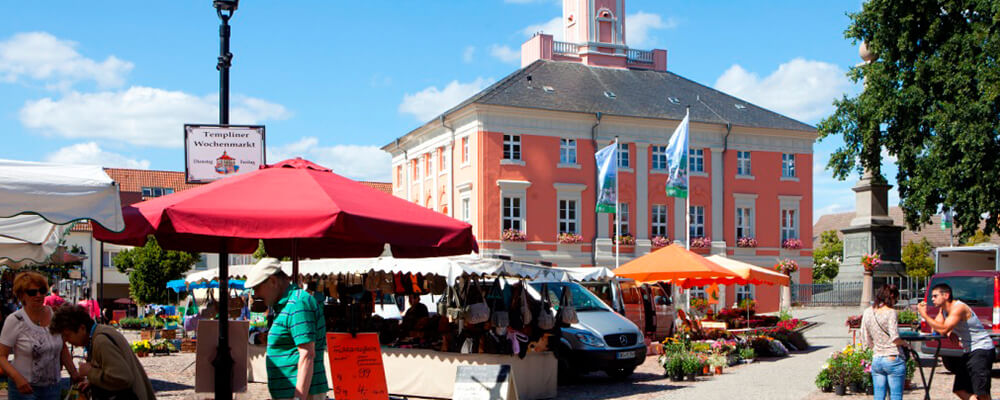 Das Rathaus in Templin